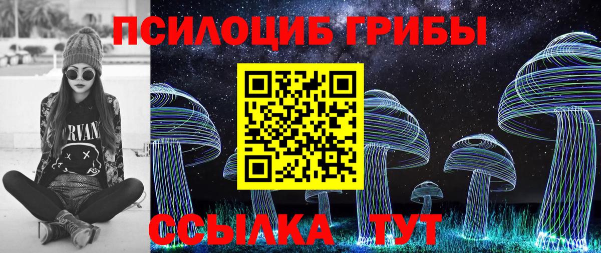 Псилоцибиновые грибы Psilocybe  Псилоцибиновые грибы прущие грибы  Вход с VPN  Осинники 